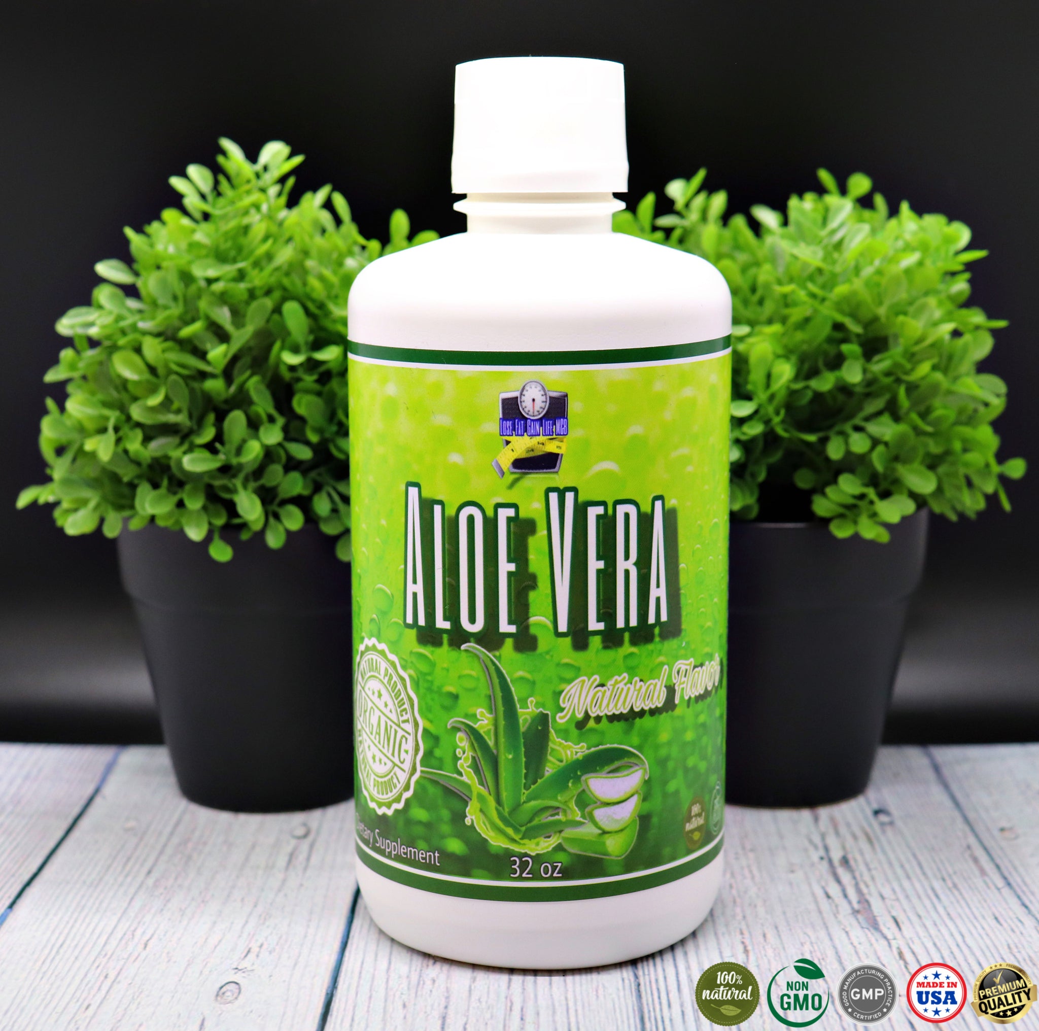 Aloe Vera – Lose Fat Gain Life M&B